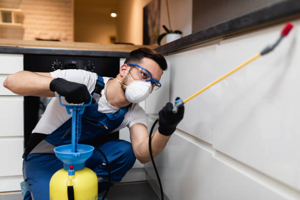 Best Mosquito Control Services  in Parachute, CO