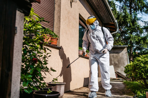Best Cockroach Control Services  in Parachute, CO