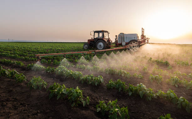 Best Commercial Pest Control Services  in Parachute, CO