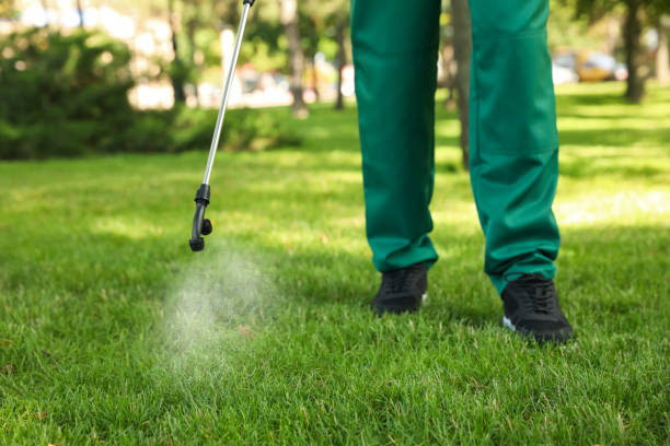 Best Cockroach Control Services  in Parachute, CO