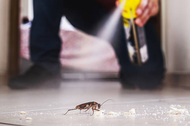 Best Pest Removal Services  in Parachute, CO