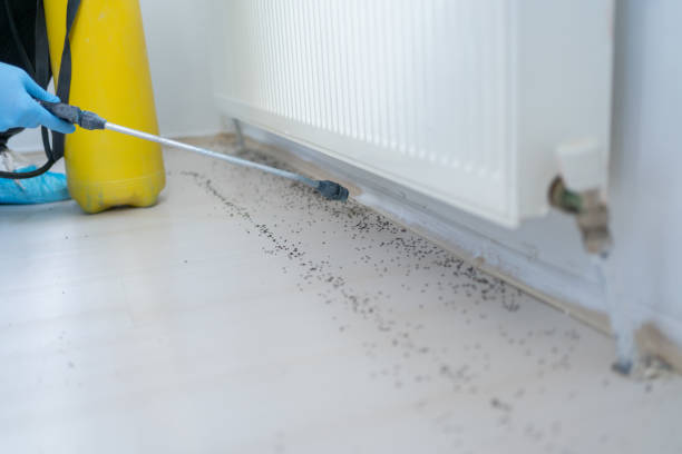 Best Commercial Pest Control Services  in Parachute, CO